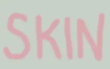 skin